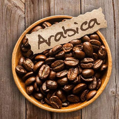 arabika arabika
