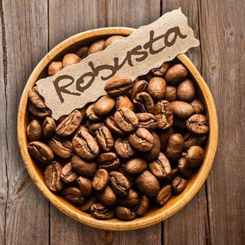 robusta robusta